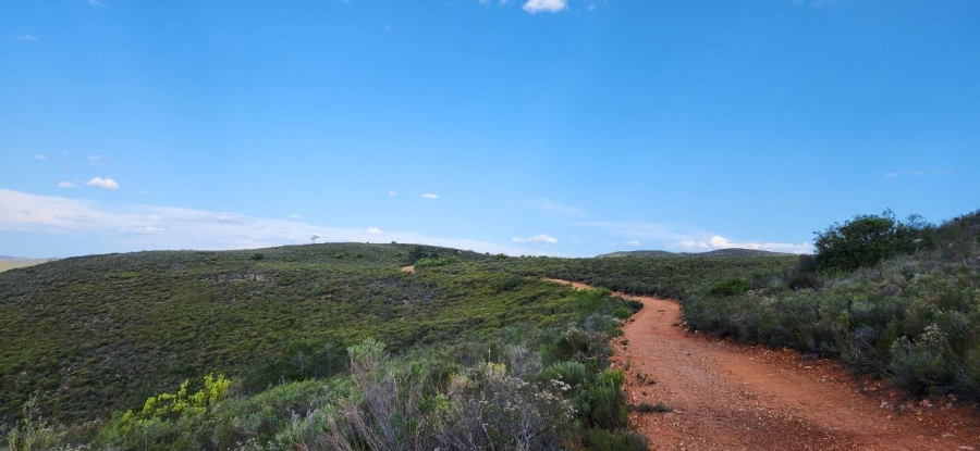 10 Bedroom Property for Sale in Joubertina Eastern Cape